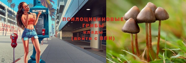 таблы Белокуриха