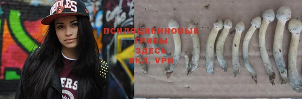 гашик Беломорск