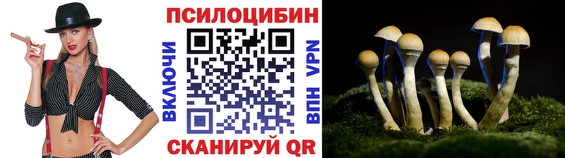 Псилоцибиновые грибы ЛСД  Гусев 