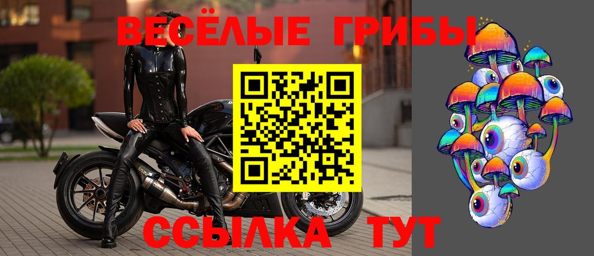 Псилоцибиновые грибы Magic Shrooms  Гусев 