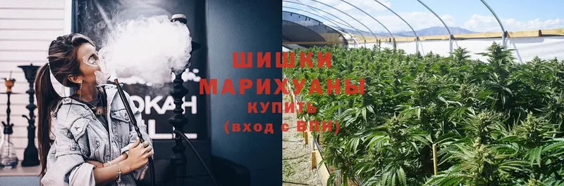 МАРИХУАНА Ganja  даркнет сайт  Гусев 