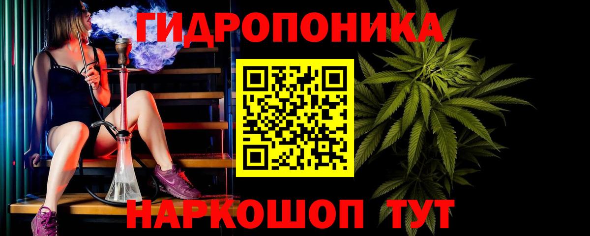 Канабис White Widow  Канабис OG Kush  Гусев  Каннабис сатива  Бошки марихуана гибрид 