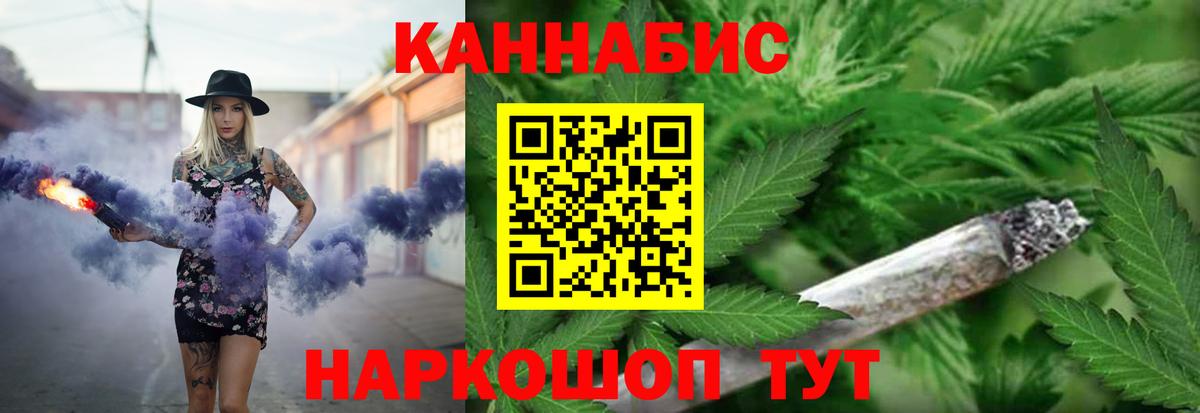 Конопля гибрид Гусев